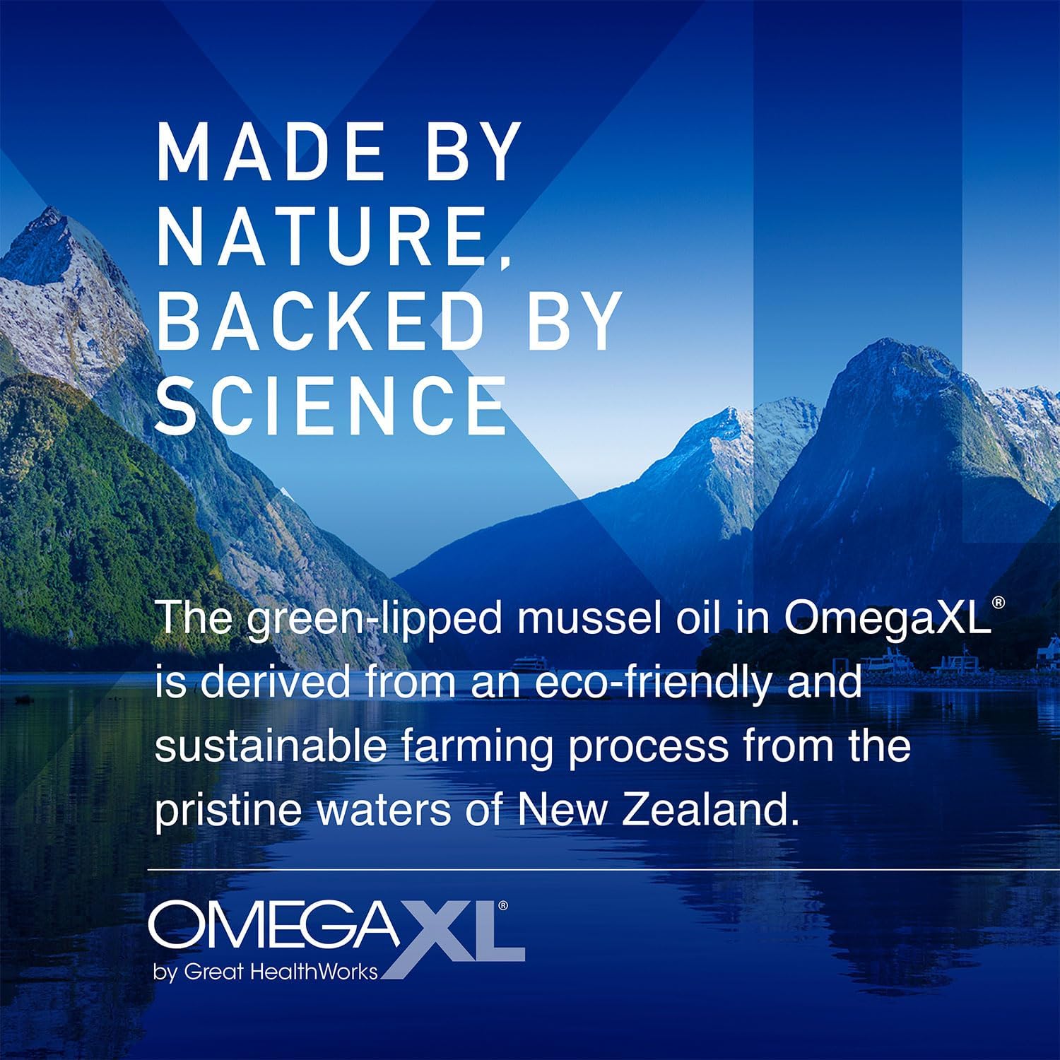 OmegaXL Joint Support Supplement - 60, 120, 300 Softgel's - Image 4