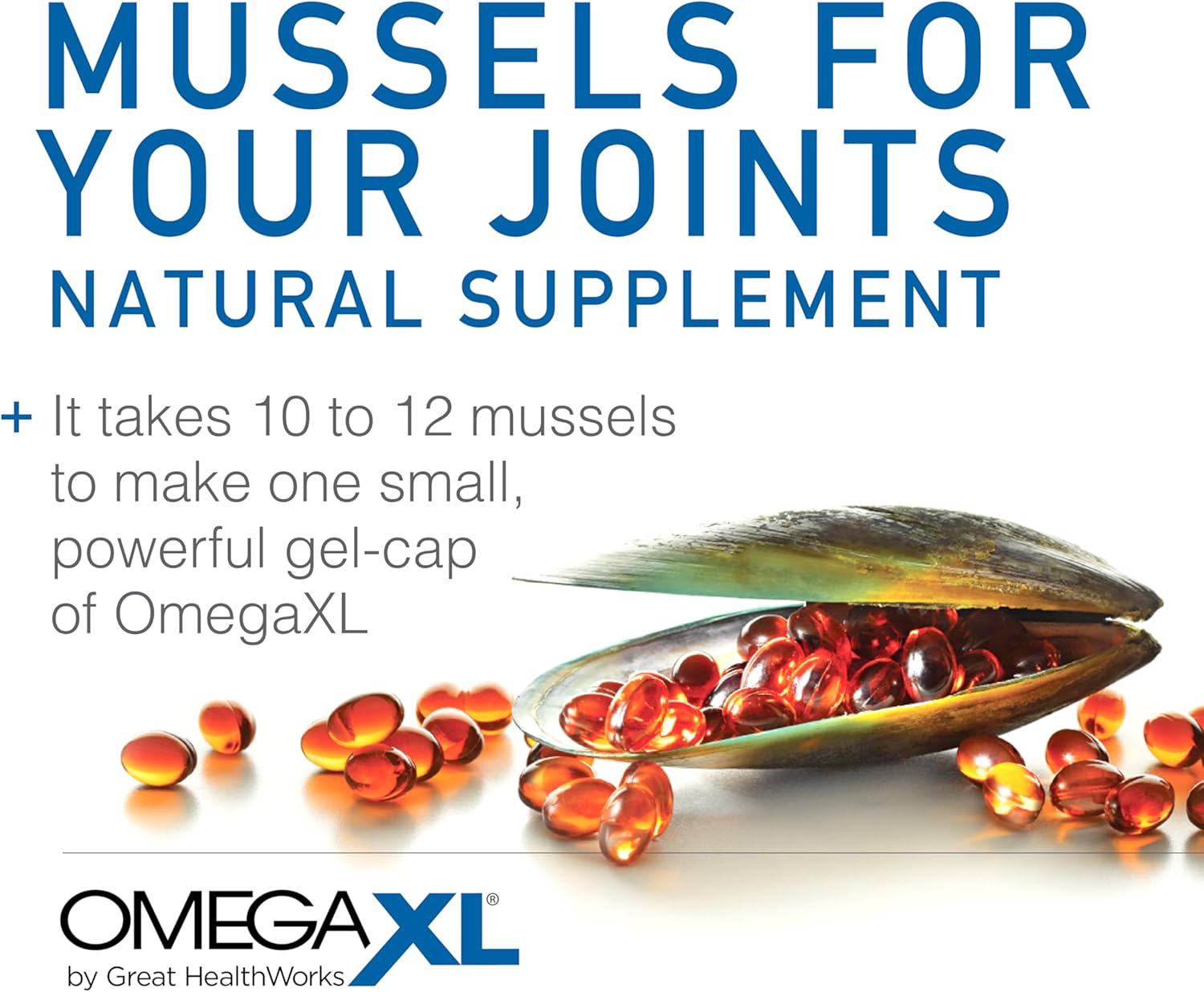 OmegaXL Joint Support Supplement - 60, 120, 300 Softgel's - Image 2